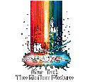 STAR TREK THE MOTION PICTURE